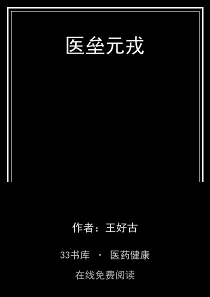 医垒元戎封面