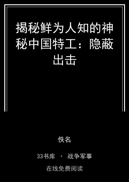 揭秘鲜为人知的神秘中国特工：隐蔽出击封面