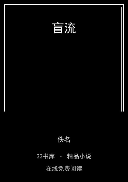 盲流 封面