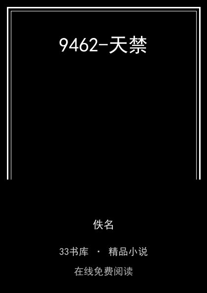 9462-天禁封面