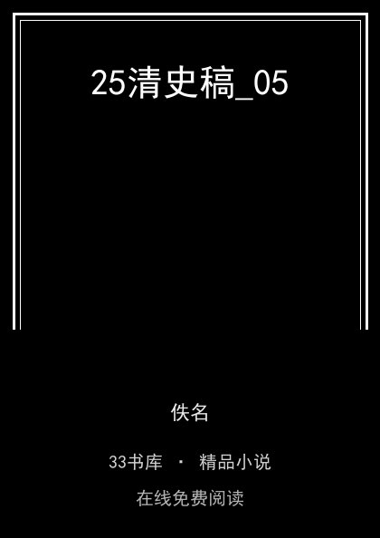 25清史稿_05 封面