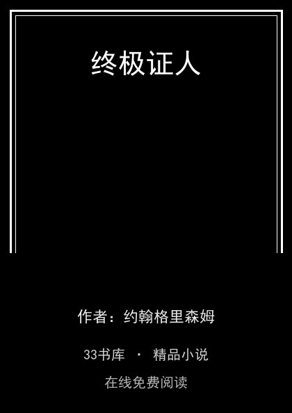 终极证人封面