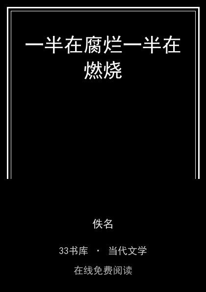 一半在腐烂一半在燃烧封面