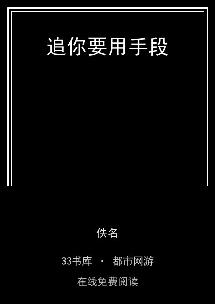 追你要用手段封面