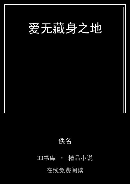 爱无藏身之地封面