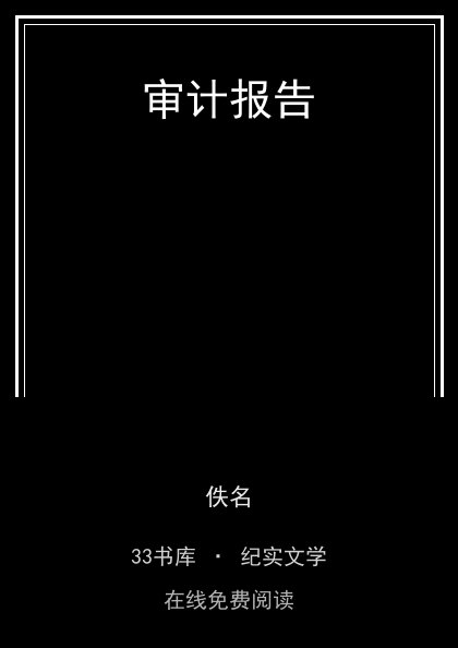 审计报告封面