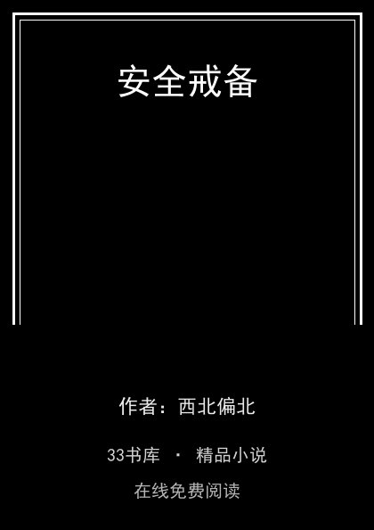 安全戒备 封面