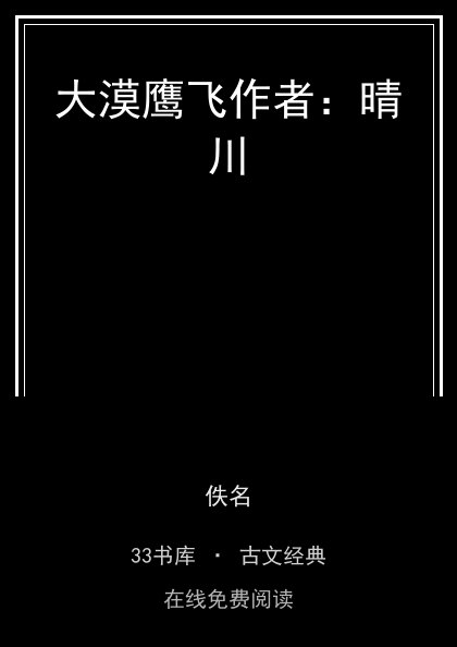 大漠鹰飞作者：晴川封面