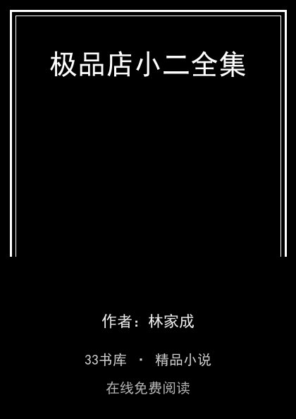 极品店小二全集 封面