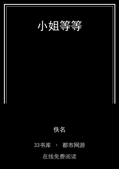 小姐等等封面