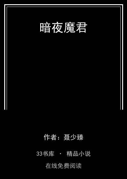 暗夜魔君封面