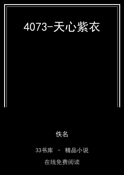 4073-天心紫衣封面