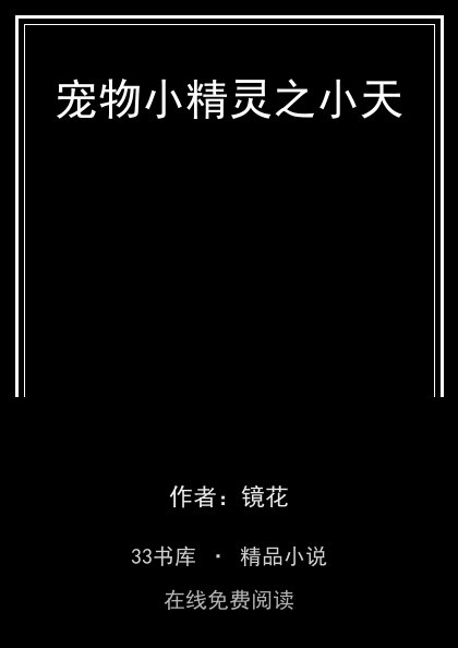 宠物小精灵之小天封面