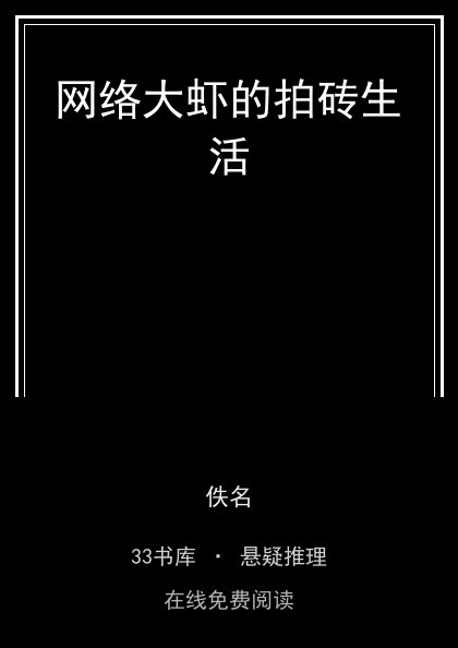 网络大虾的拍砖生活 封面