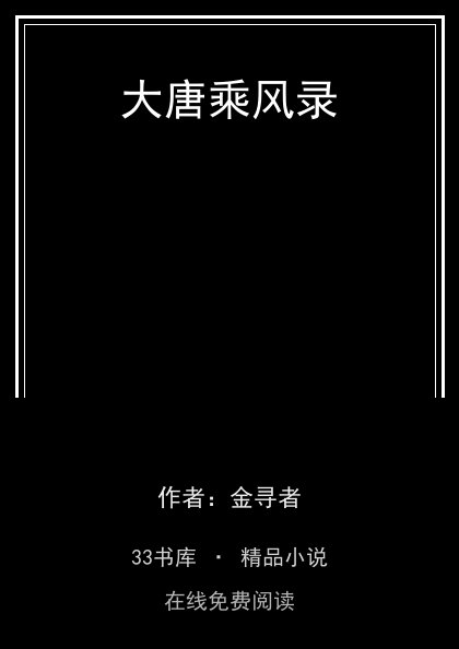 大唐乘风录封面