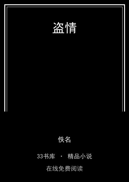 盗情封面