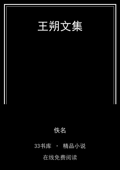 王朔文集封面
