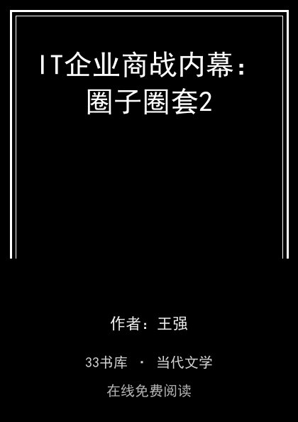 IT企业商战内幕：圈子圈套2封面