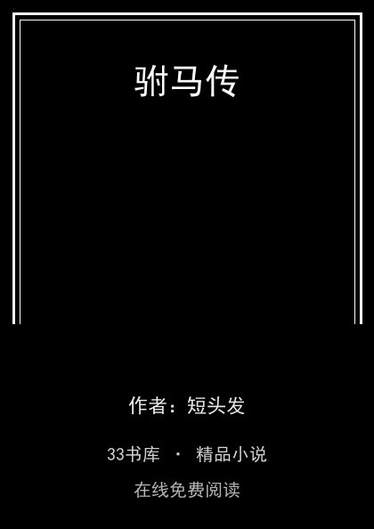 驸马传 封面