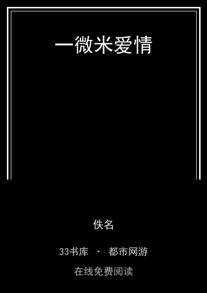 一微米爱情封面