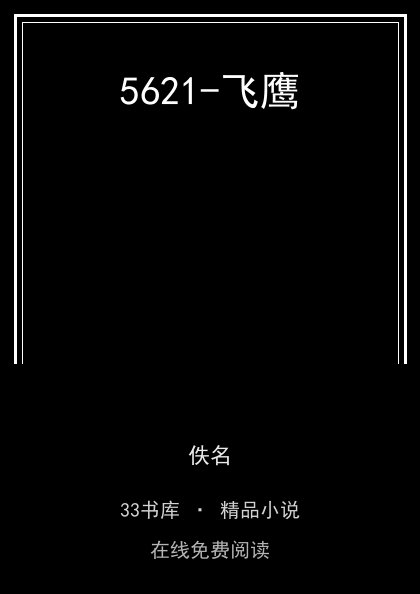 5621-飞鹰封面