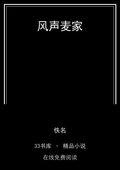 风声麦家封面