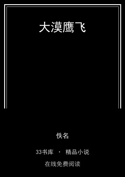 大漠鹰飞封面