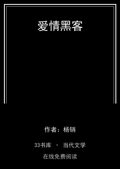 爱情黑客封面