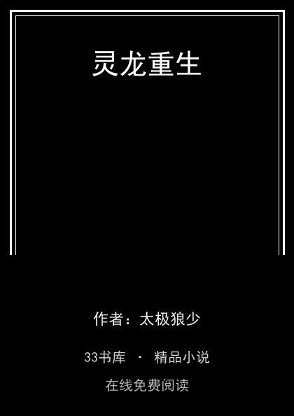 灵龙重生 封面