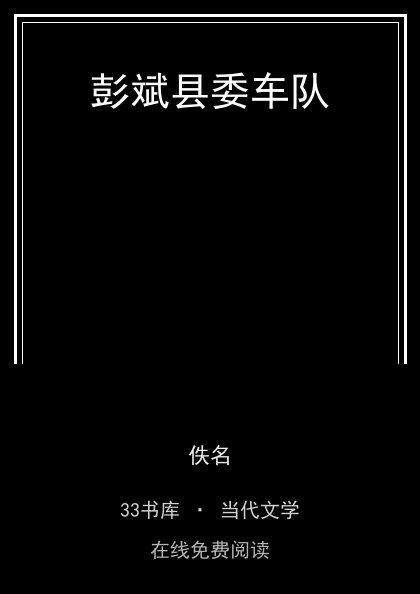 彭斌县委车队封面