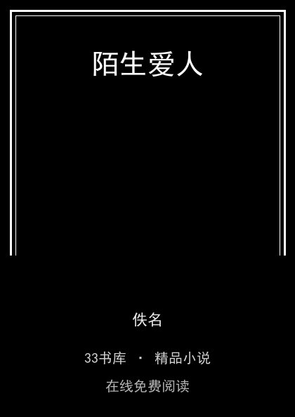 陌生爱人 封面