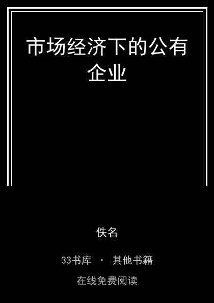 市场经济下的公有企业封面
