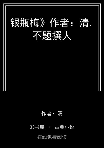 银瓶梅》作者：清.不题撰人封面