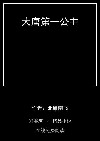 大唐第一公主 封面