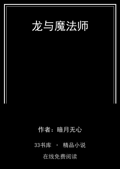 龙与魔法师 封面