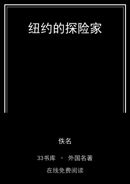 纽约的探险家封面