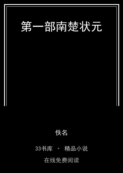 第一部南楚状元封面