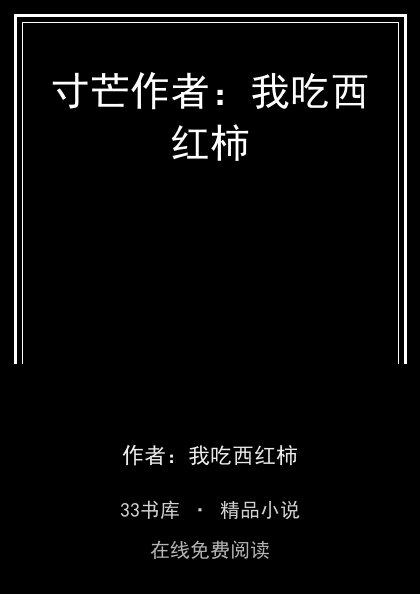 寸芒作者：我吃西红柿封面