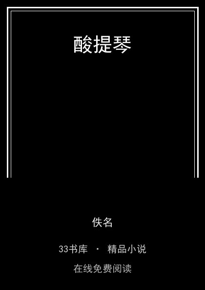 酸提琴 封面