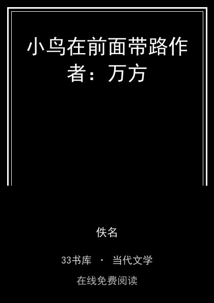 小鸟在前面带路作者：万方封面