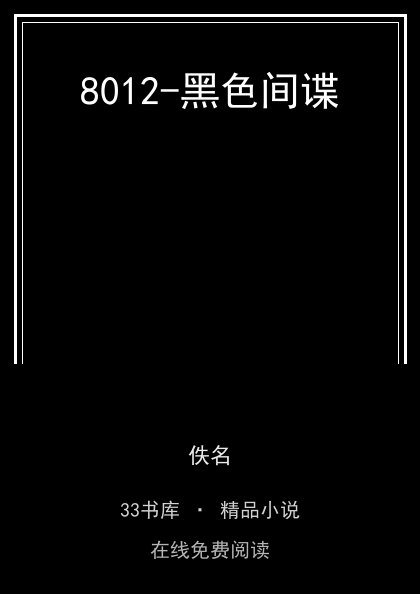 8012-黑色间谍封面