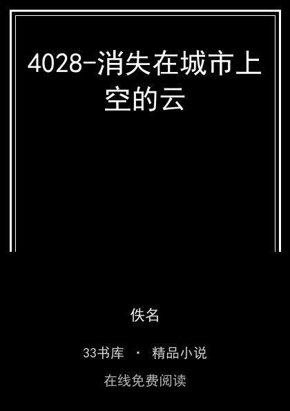 4028-消失在城市上空的云封面
