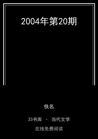 2004年第20期封面