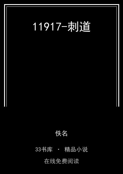 11917-刺道 封面
