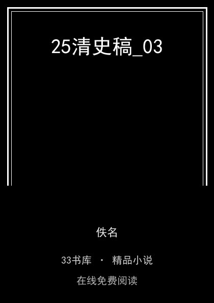 25清史稿_03 封面
