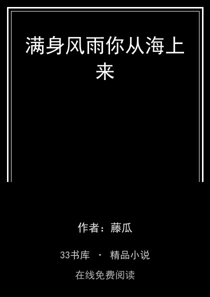 满身风雨你从海上来封面