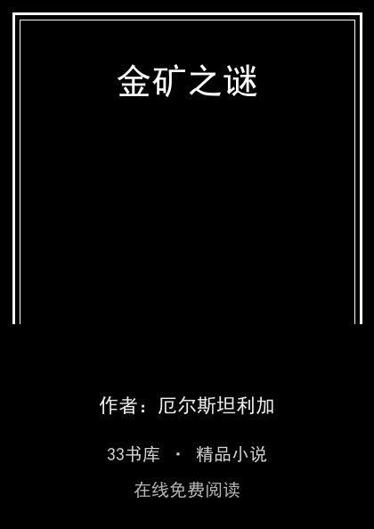 金矿之谜封面