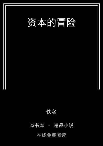 资本的冒险 封面