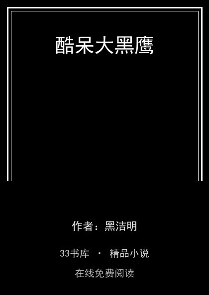 酷呆大黑鹰 封面