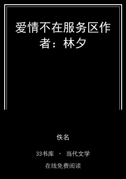 爱情不在服务区作者：林夕封面